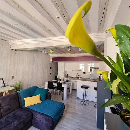 Apartmán T2 D'Architecte A Troyes Exteriér fotografie